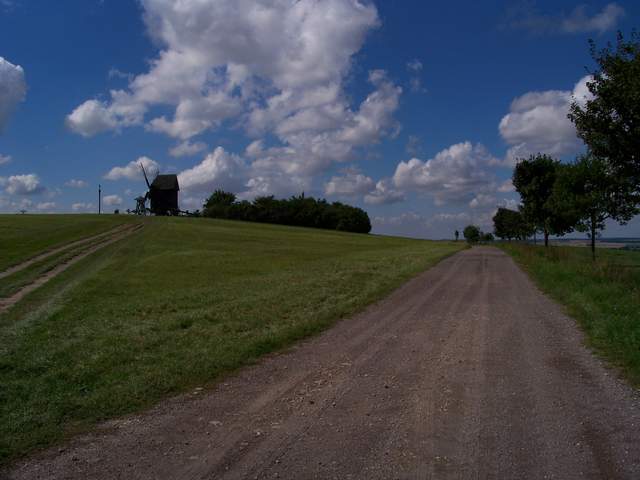 100_9052